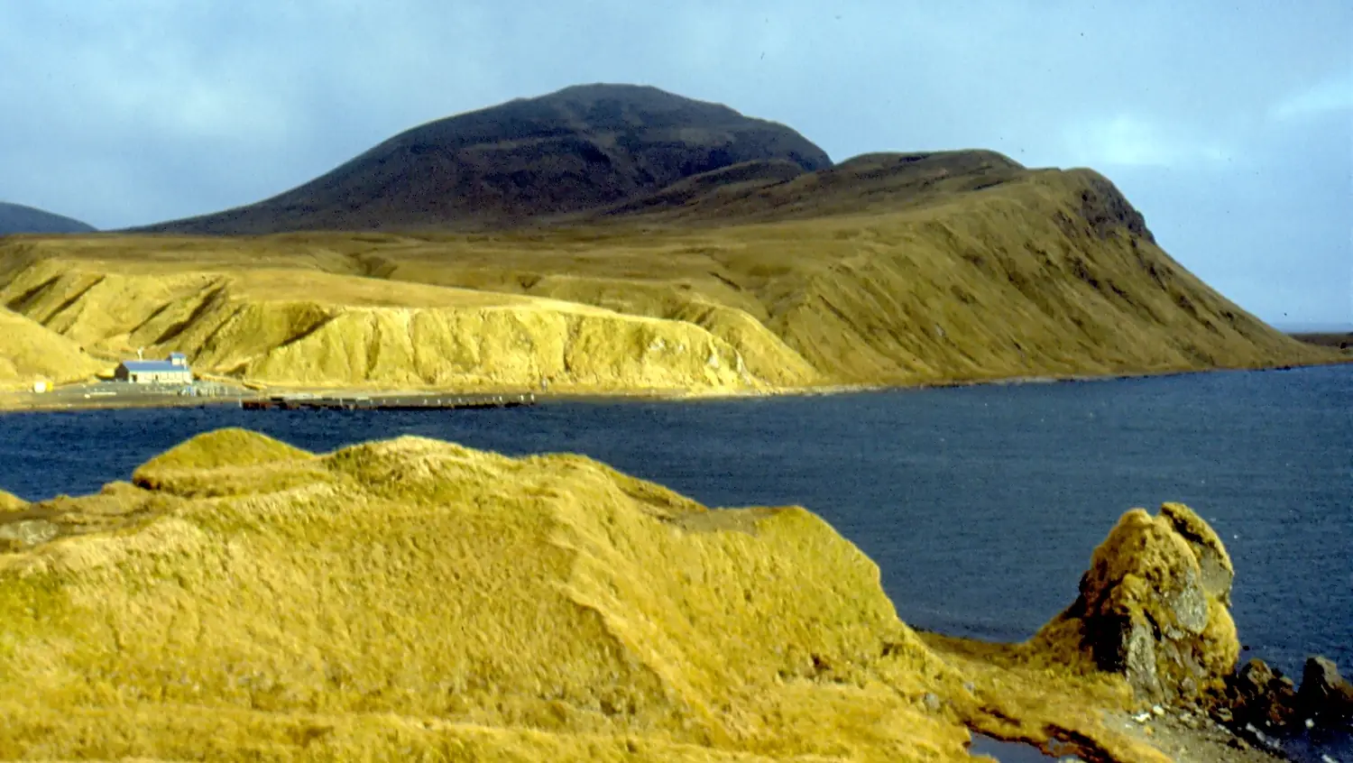 Adak Tundra
