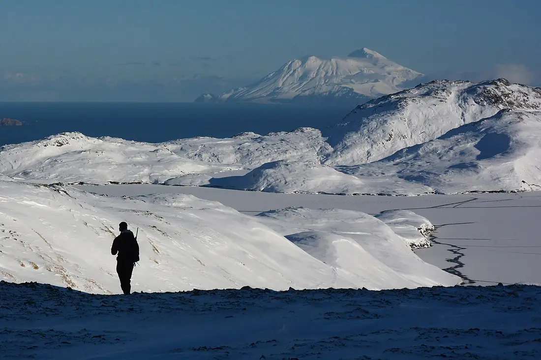 A hunter descends from a knoll near Lake Bonnie Rose, Great Sitkin Volcano in background. Adak Island, Aleutian Islands, Alaska