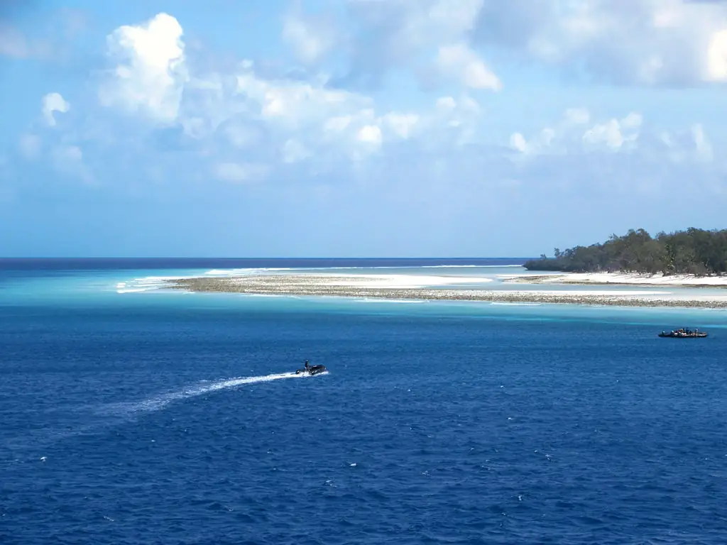 Aldabra Atoll (32808379840)