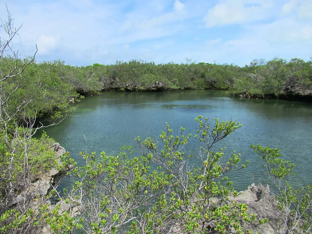 Aldabra Lagoon (32874699360)