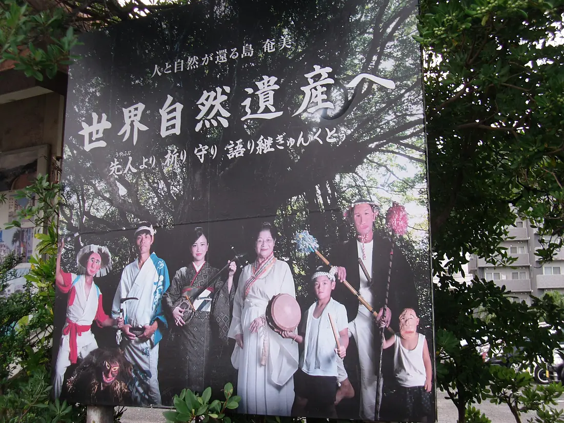 World Heritage promotion movement in Amami-Ōshima 06