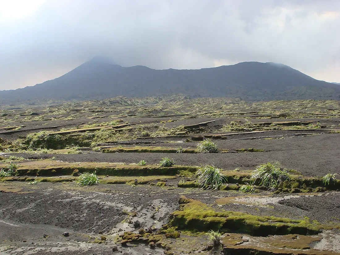 Vue du volcan Benbow depuis la plaine de cendres, île d'Ambrym