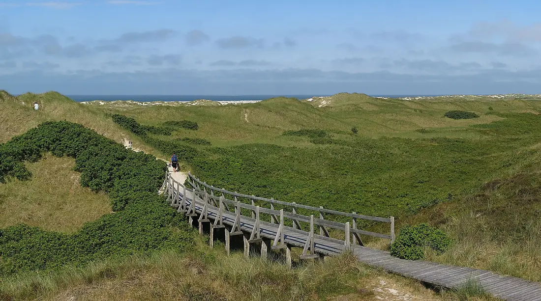 Amrum - Weg durch die Dünen zum Strand bei Nebel