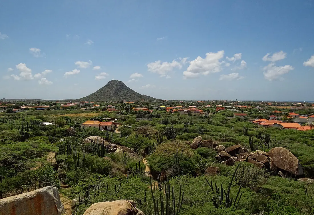 Aruba-Hooiberg-2013
