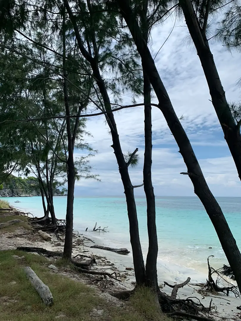 Atauro clear beach
