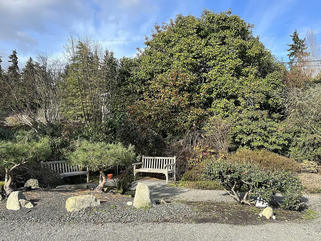 Bainbridge Island, February 2023 - 21