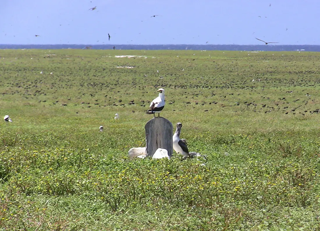 Baker Island Gravesite