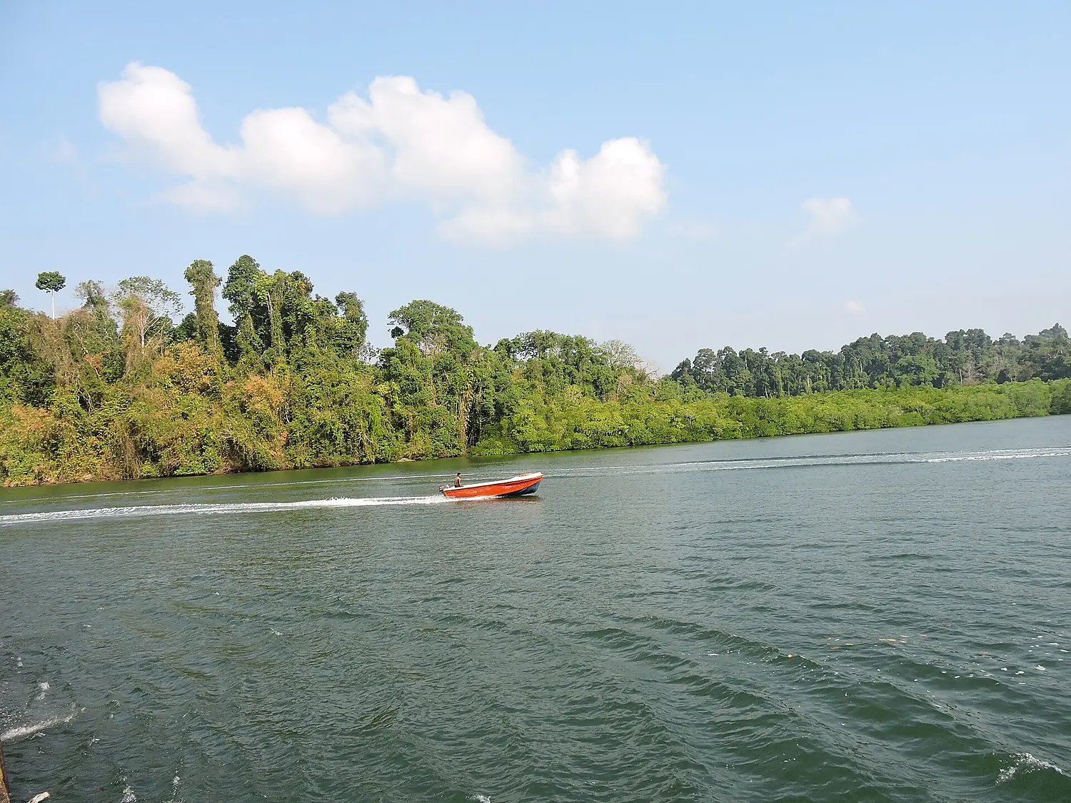 Baratang Island near Middle Strait entry point, Andaman Islands, India