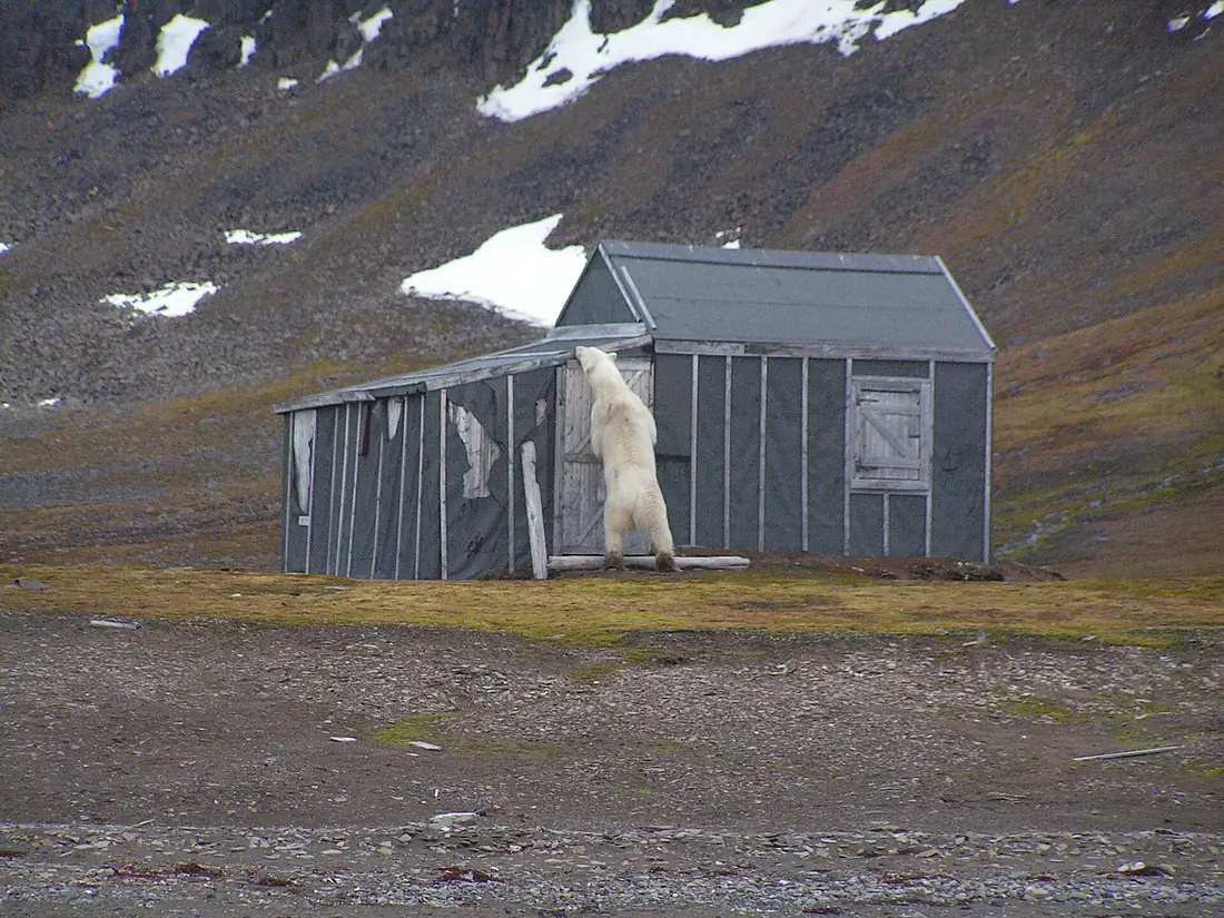 Barents island franken hut 1