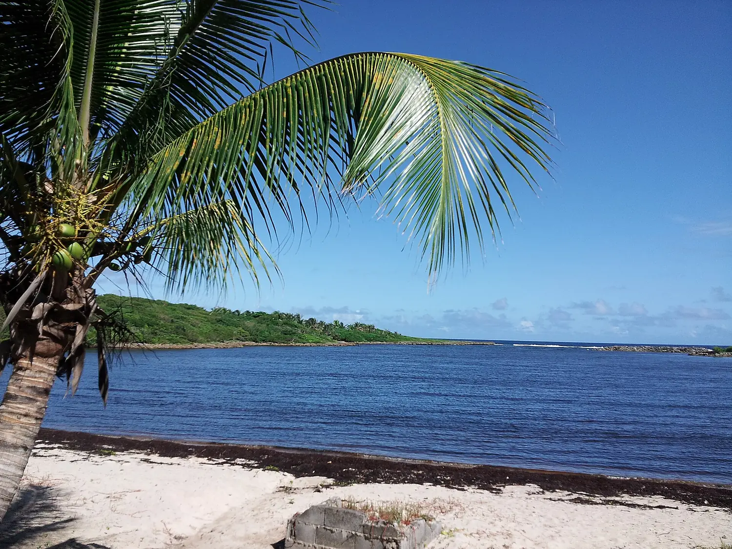 La Guadeloupe, côte Ouest de Basse Terre