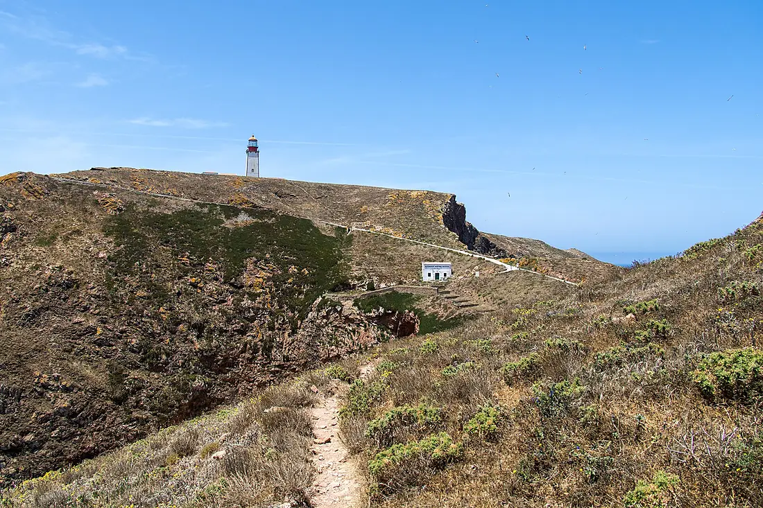 2026-06-21 Berlenga Grande 03