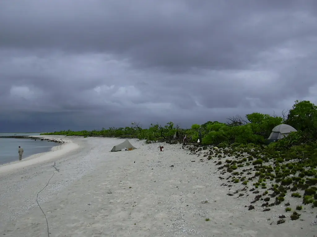 Taongi Lagoon Shore