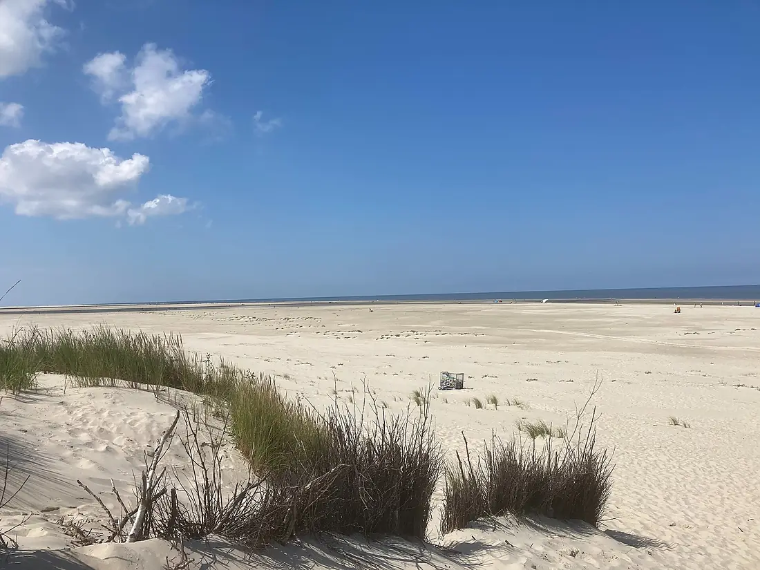 Beach Dunes Borkum Strand 22 07 24 970000