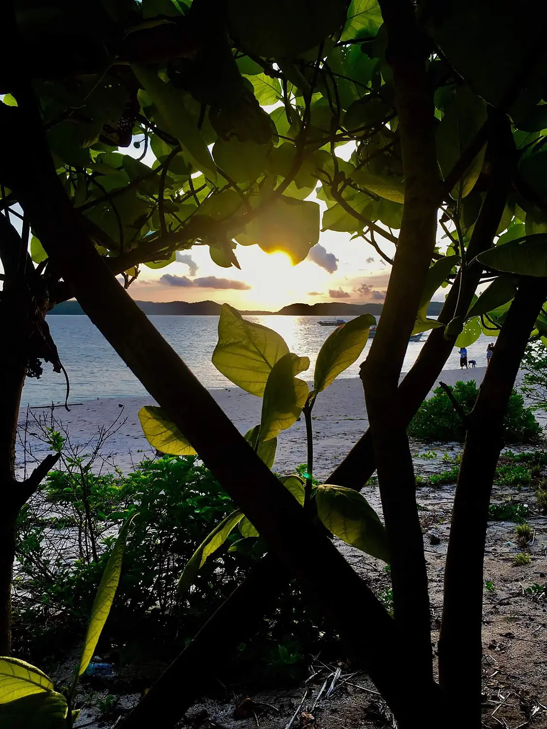 "SUNSET AT BURIAS ISLAND"