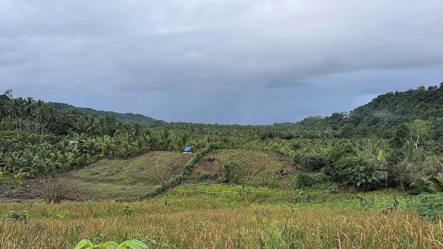 A piece of farmland on Buton Island