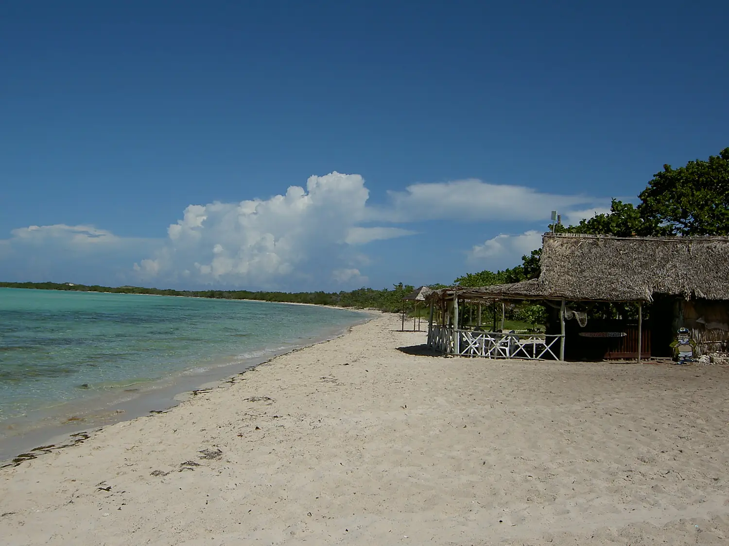 Spiaggia cayo coco(cuba)