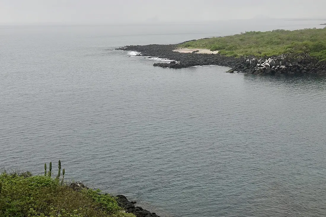 Darwin Bay (46963371154)