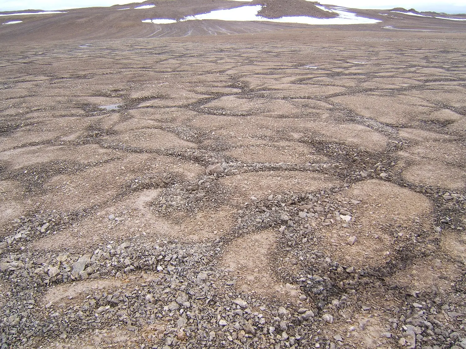 Patterned ground devon island