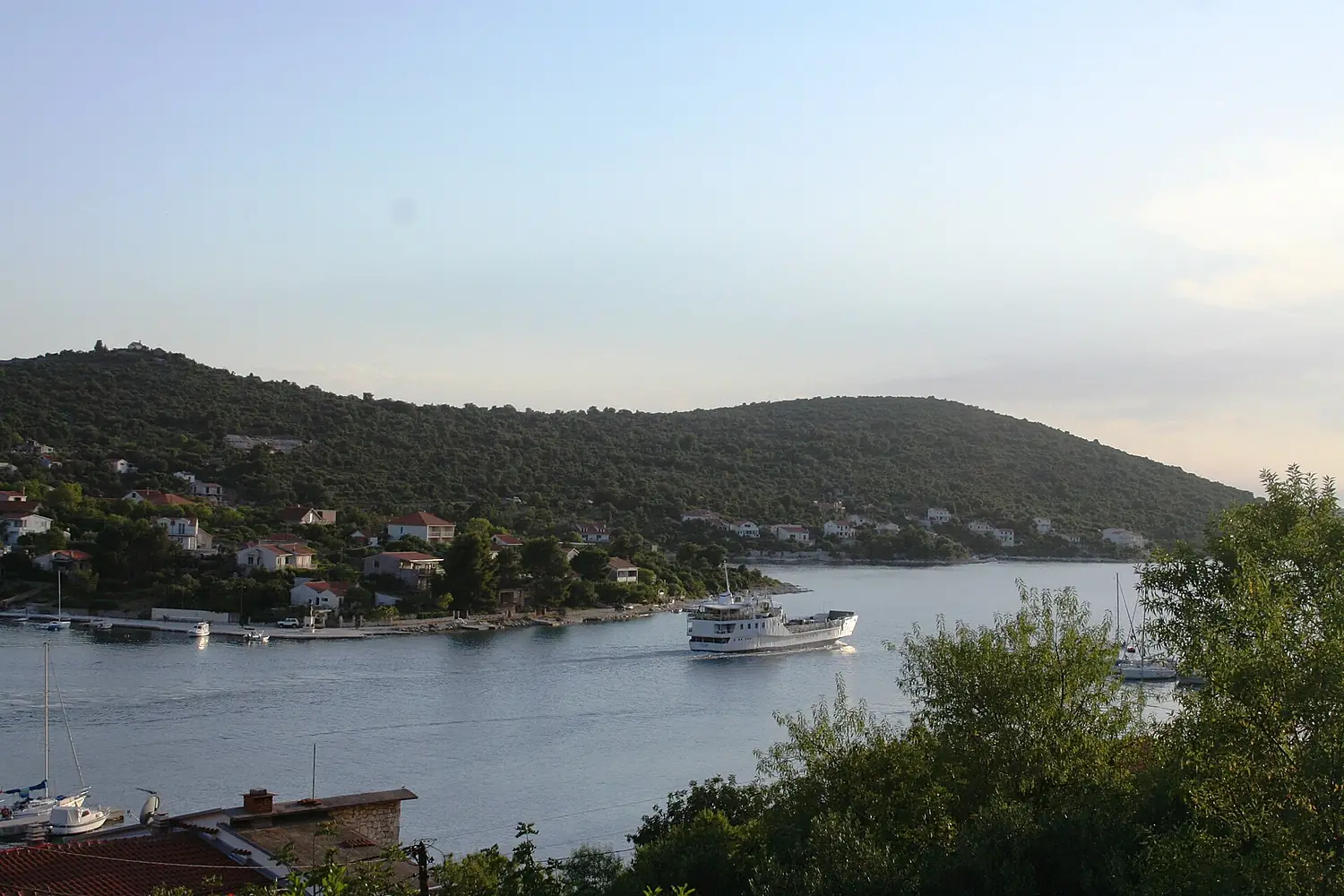 Drvenik