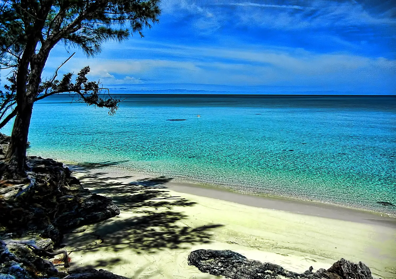 Beach scene at Current, Eleuthera (8222670396)