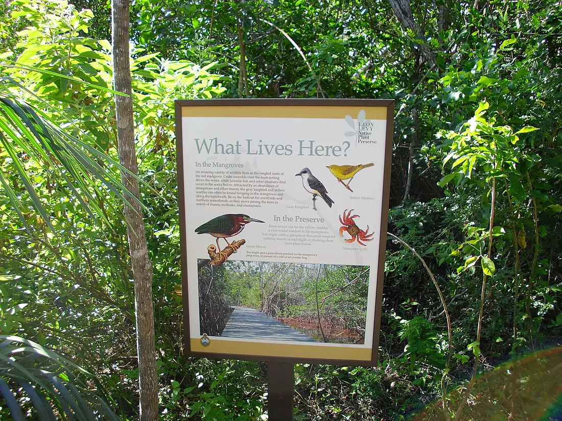Leon Levy Nature Preserve What Lives Here Eleuthera 2013