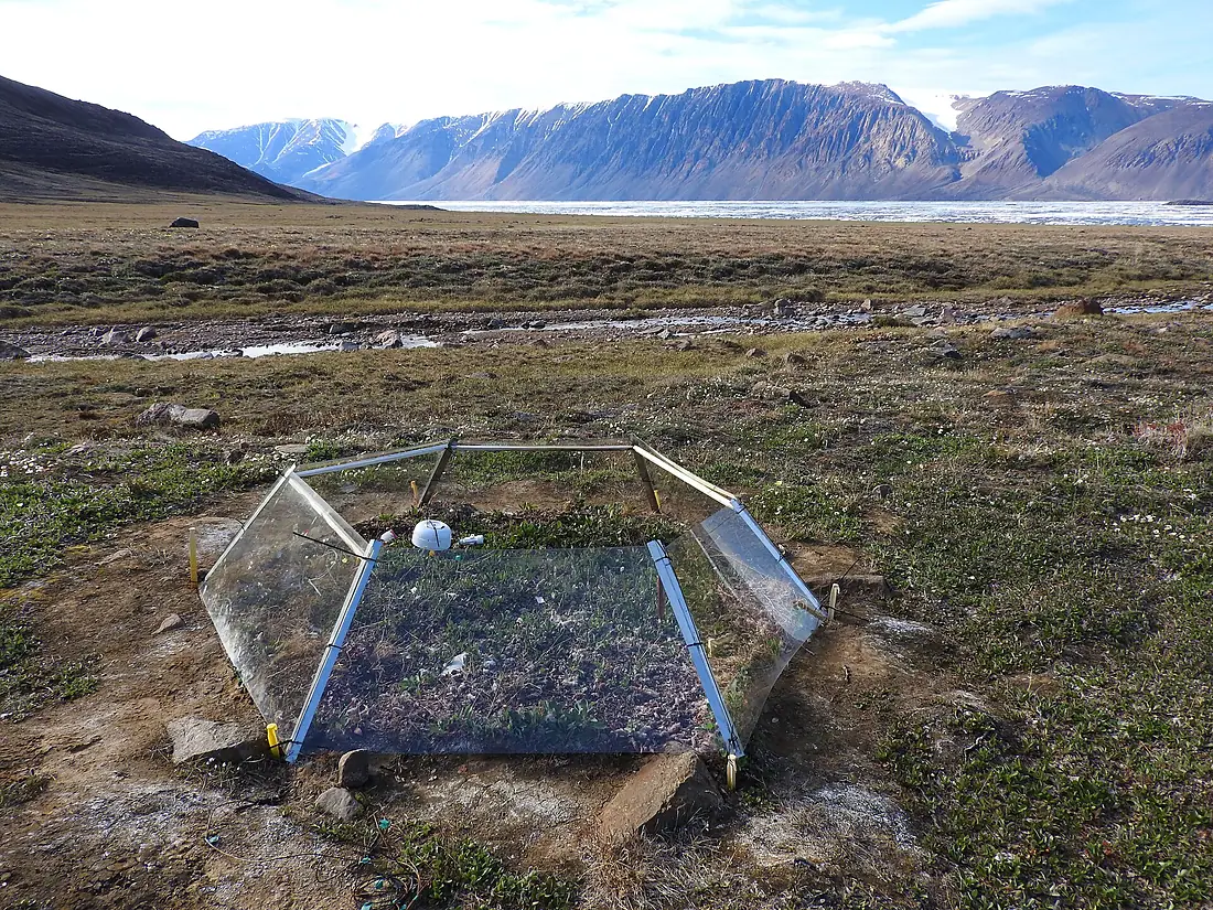 OTC at Alexandra Fiord, Ellesmere Island