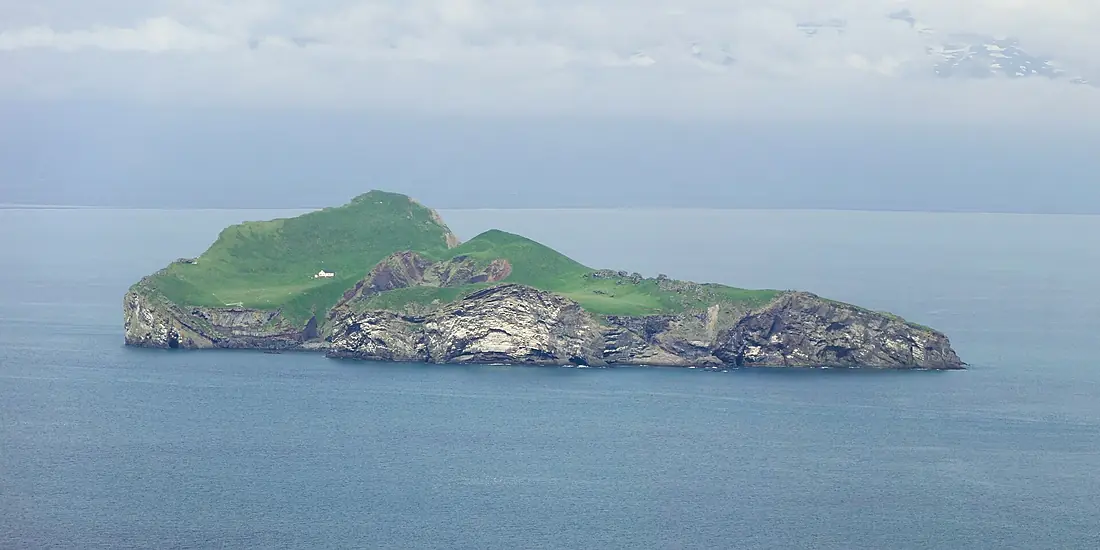 Elliðaey 2016