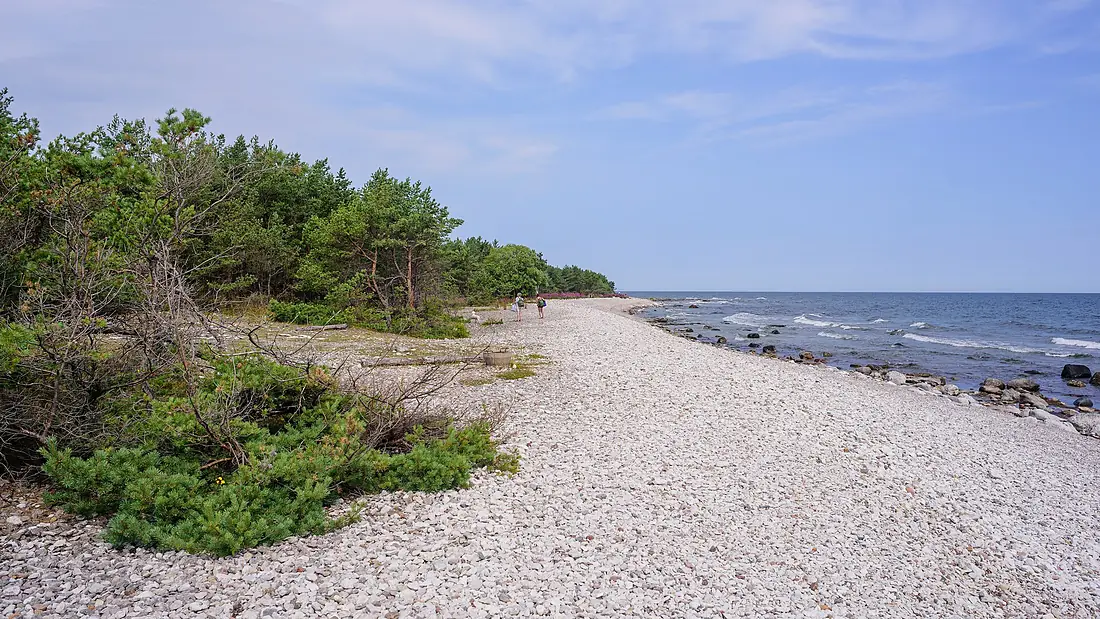 Fårö July 2019 01