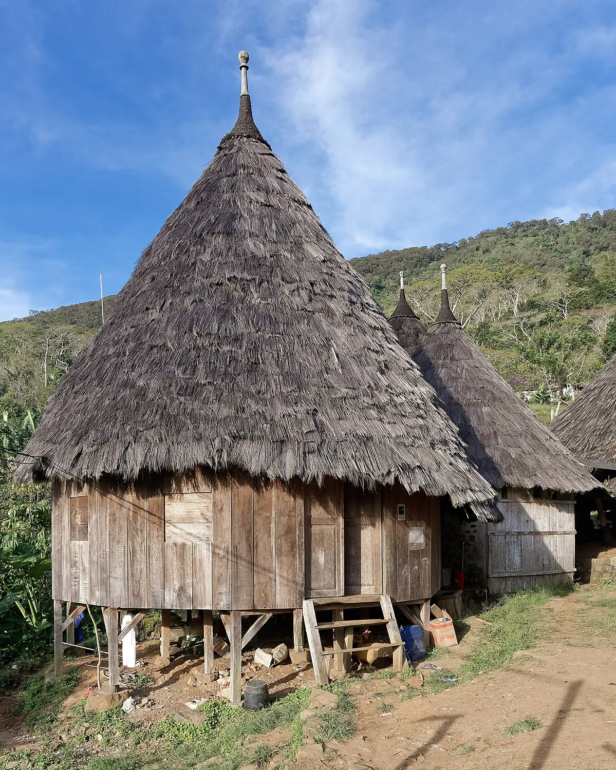 Huts in the village of Wae Rebo, Flores Island, Indonesia, 20250824 0724 3006