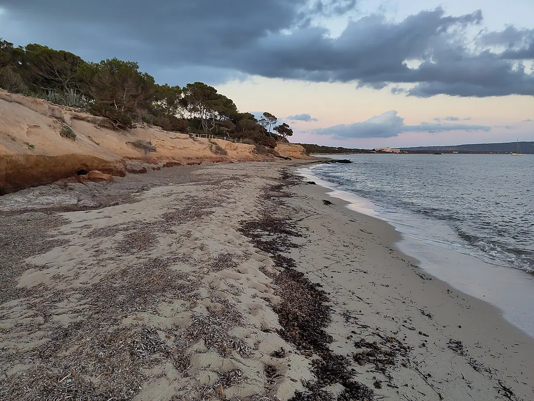 Formentera. El Pi del Català. Platja del Mal Pas