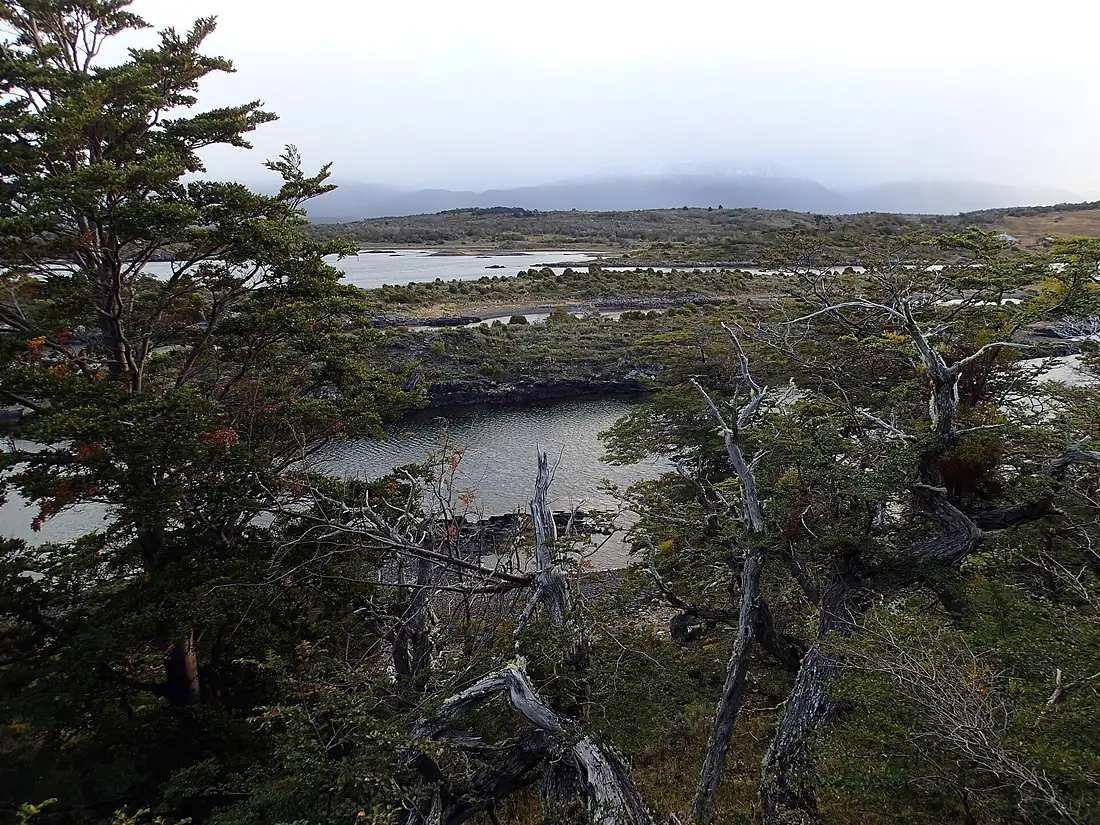 Isla Gable, Tierra del Fuego
