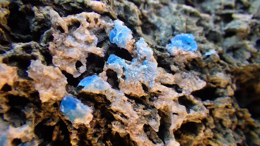 Plasticrust, Giglio, Italy (2)