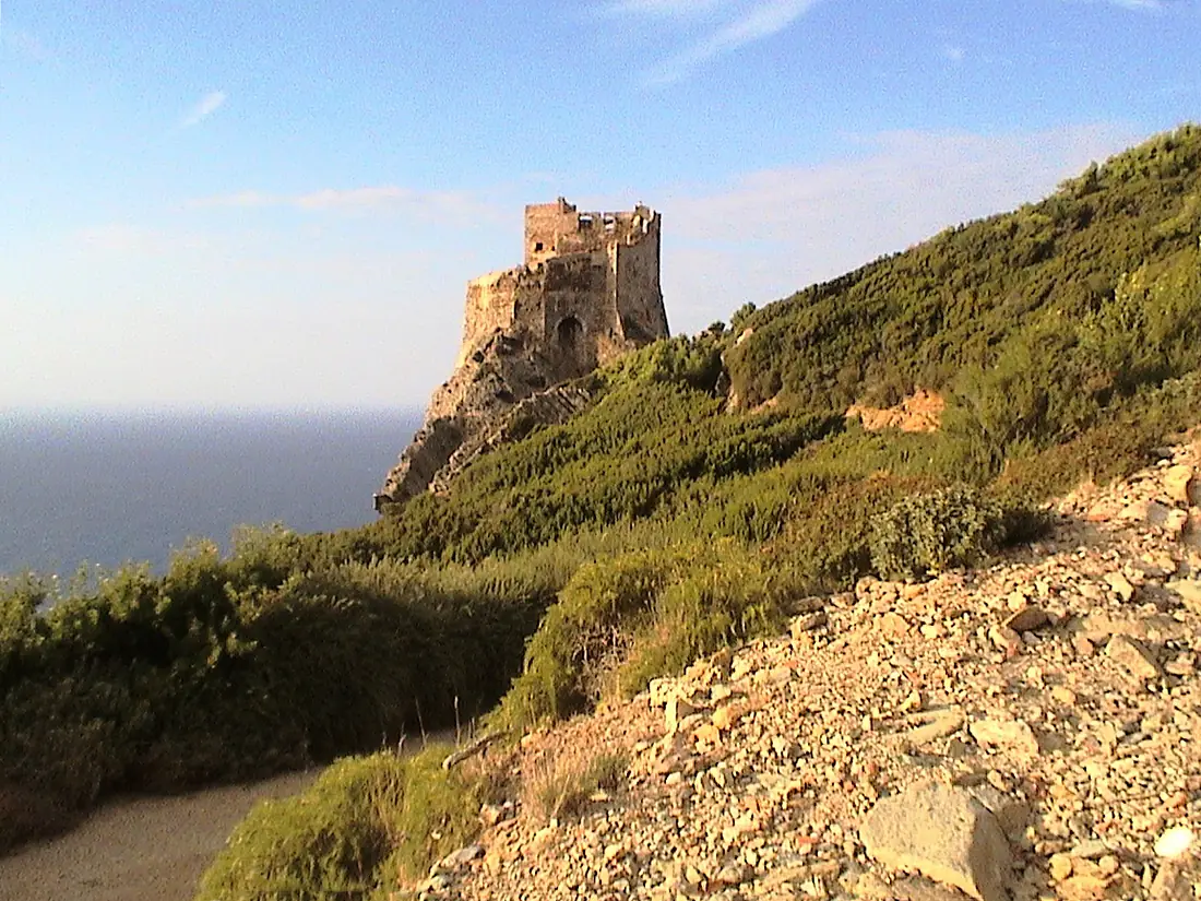 Isola Gorgona 6