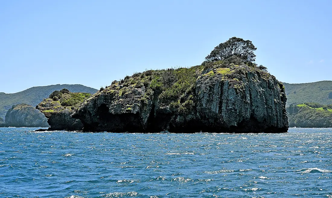 Isla Gran Barerra 03