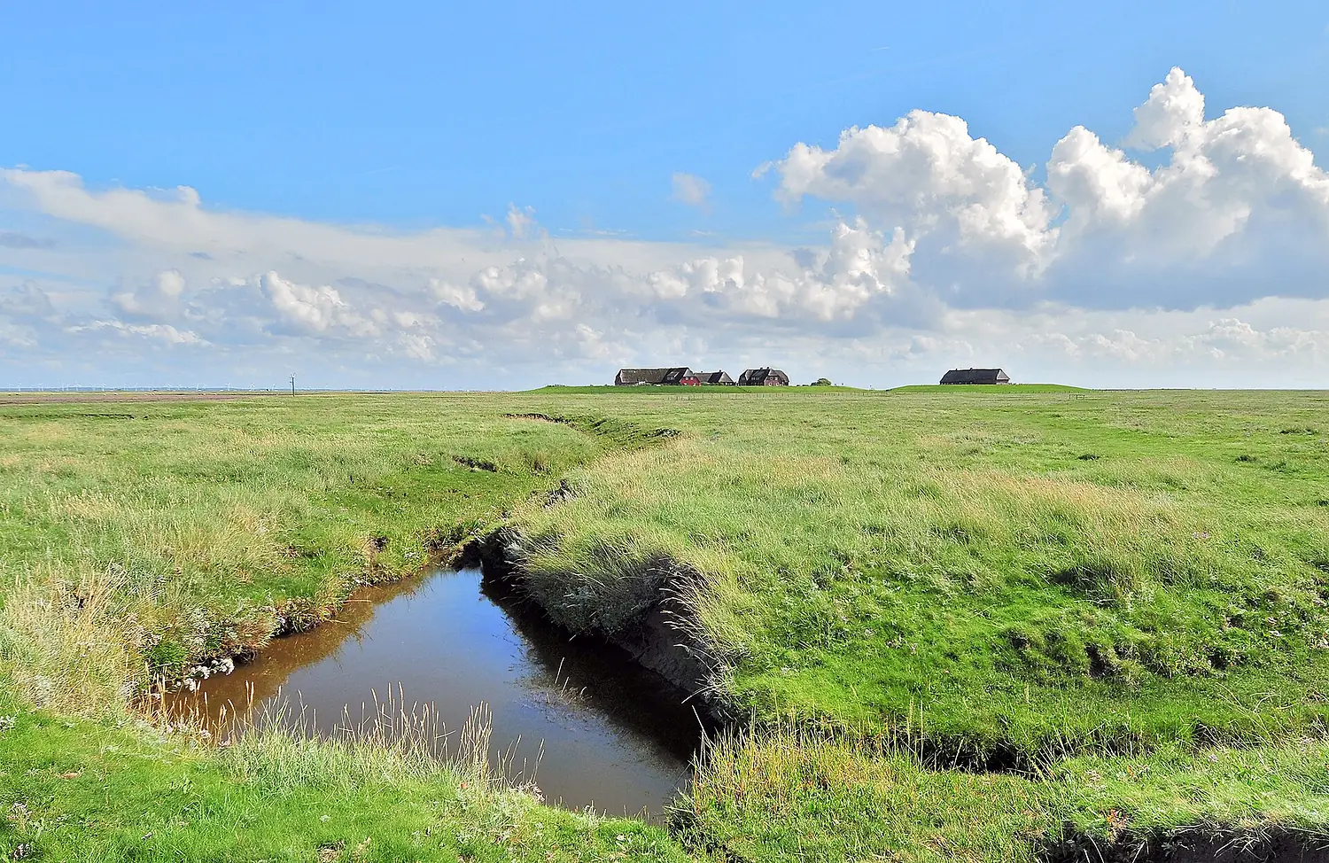 Hallig Gröde, Germany, view from the marina
