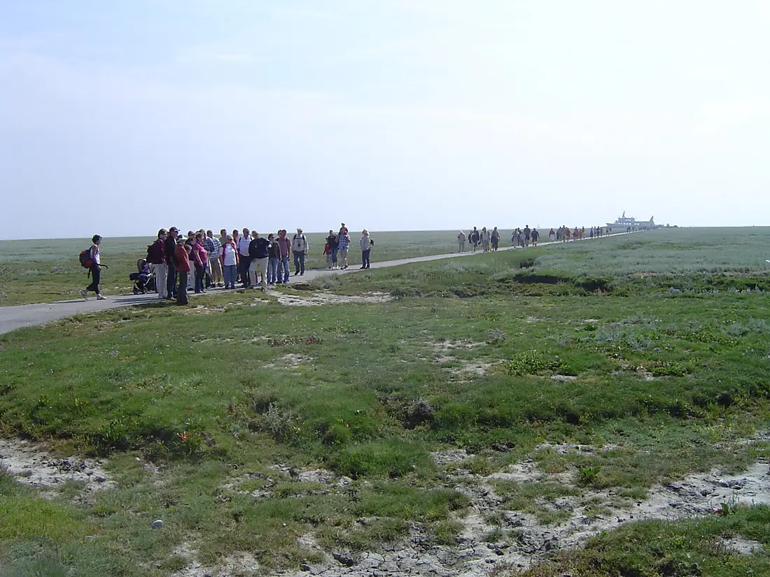 Hallig Gröde, Blick in Richtung Fähranleger - panoramio