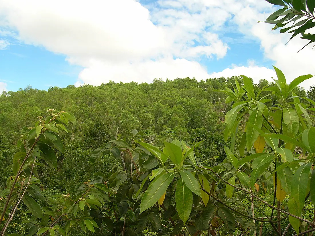 Guimaras Island, Philippines