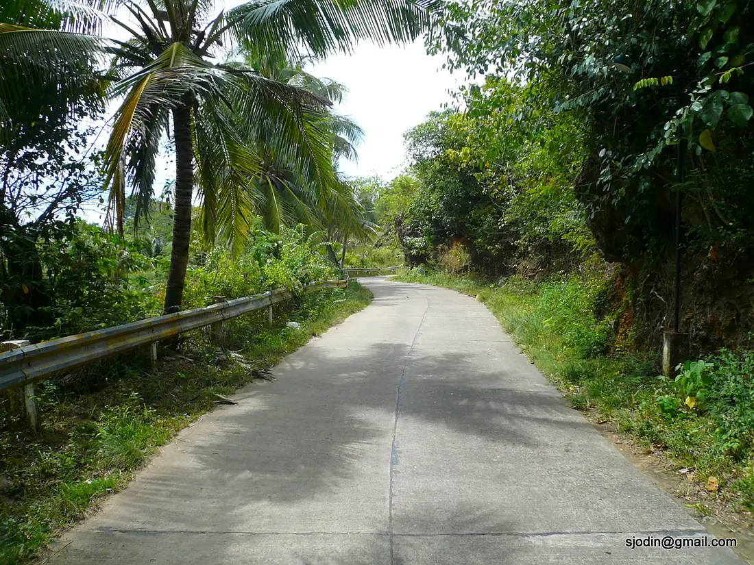 Concrete road on Guimaras island - panoramio