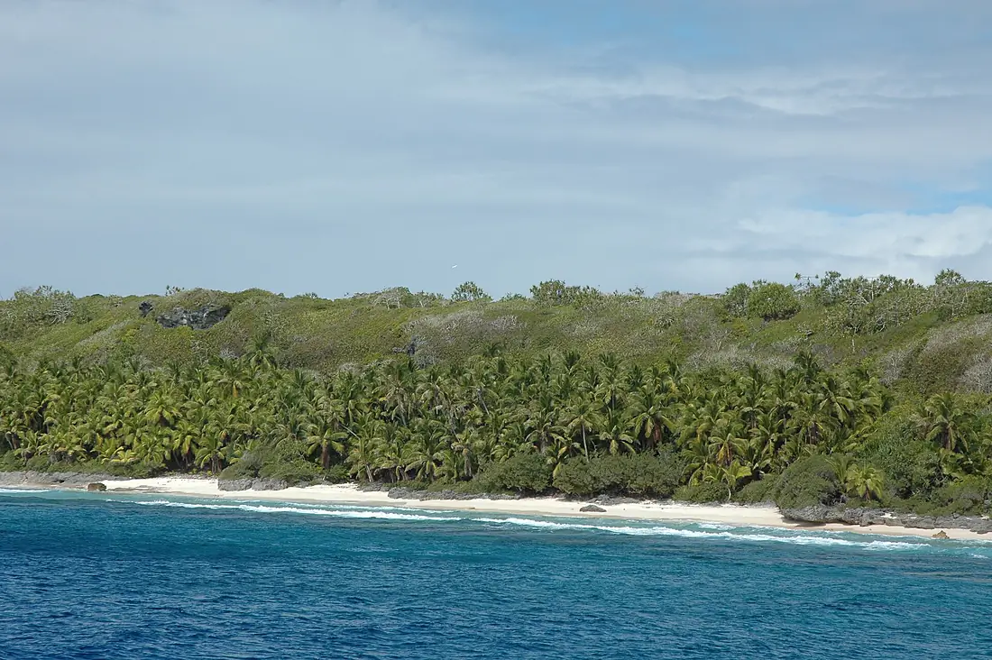 Henderson Island-110244