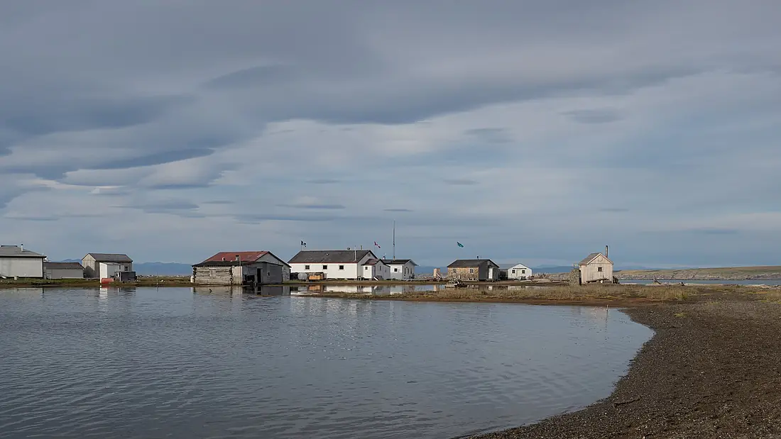 2025-08-21 Qikiqtaruk Herschel Island 1