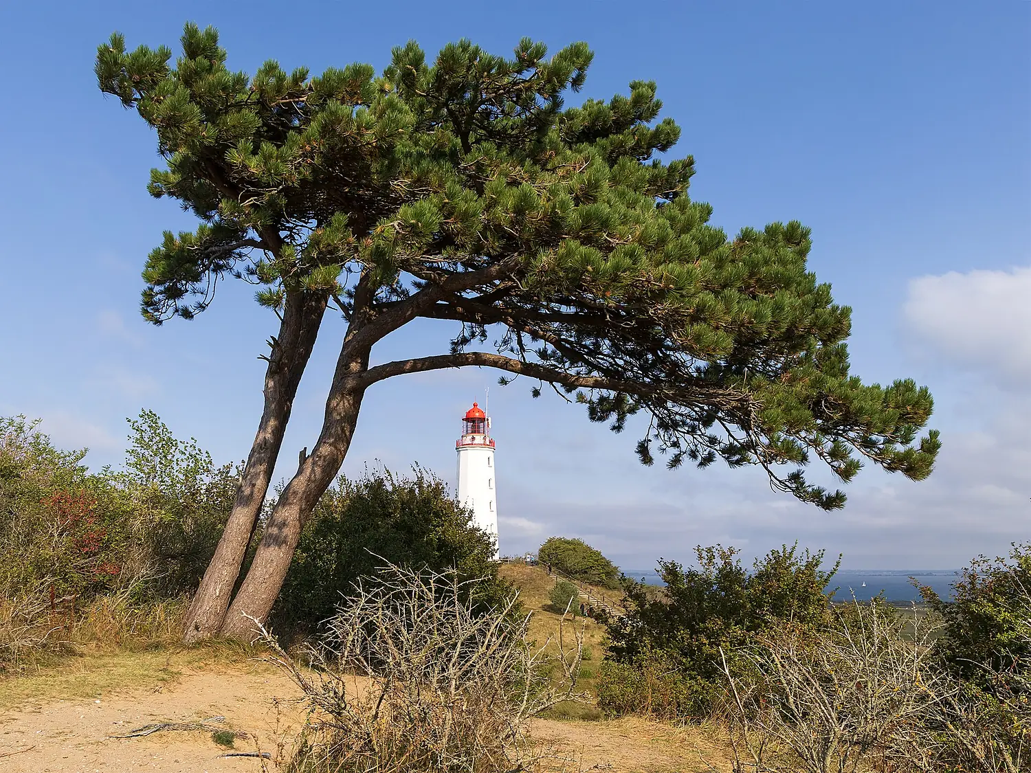 Hiddensee, Dornbusch, Lighthouse - Flickr - unukorno