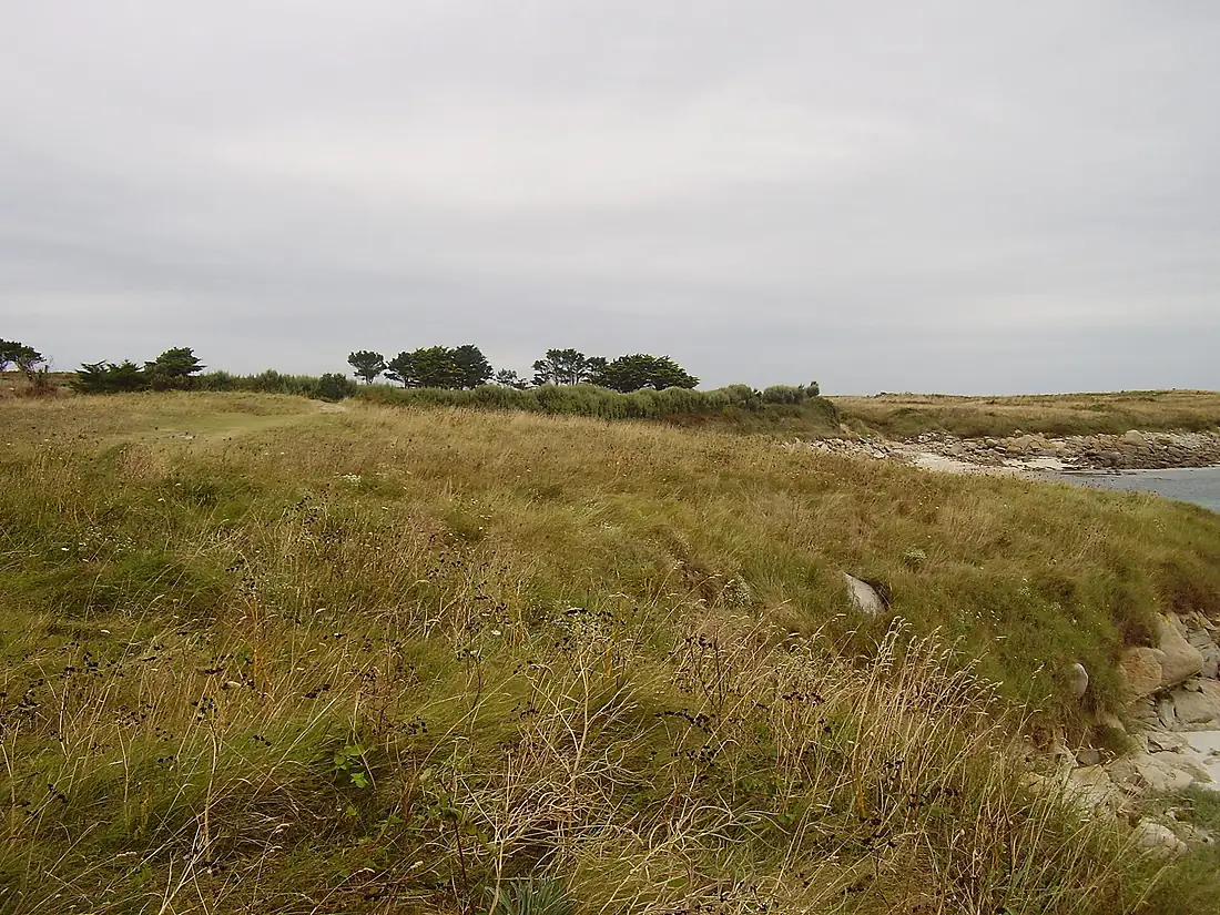 Ile de Batz 2008 PD 61