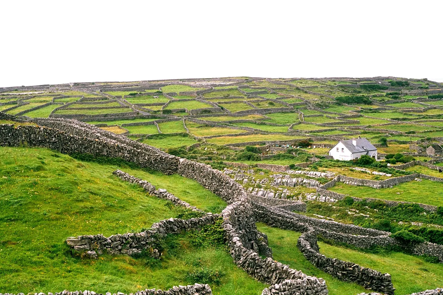 Inisheer landscape