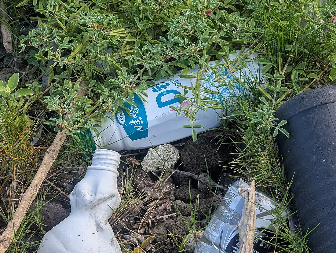 Beach on Ishigakijima - Garbage from Japan and China (or Taiwan) (40553)
