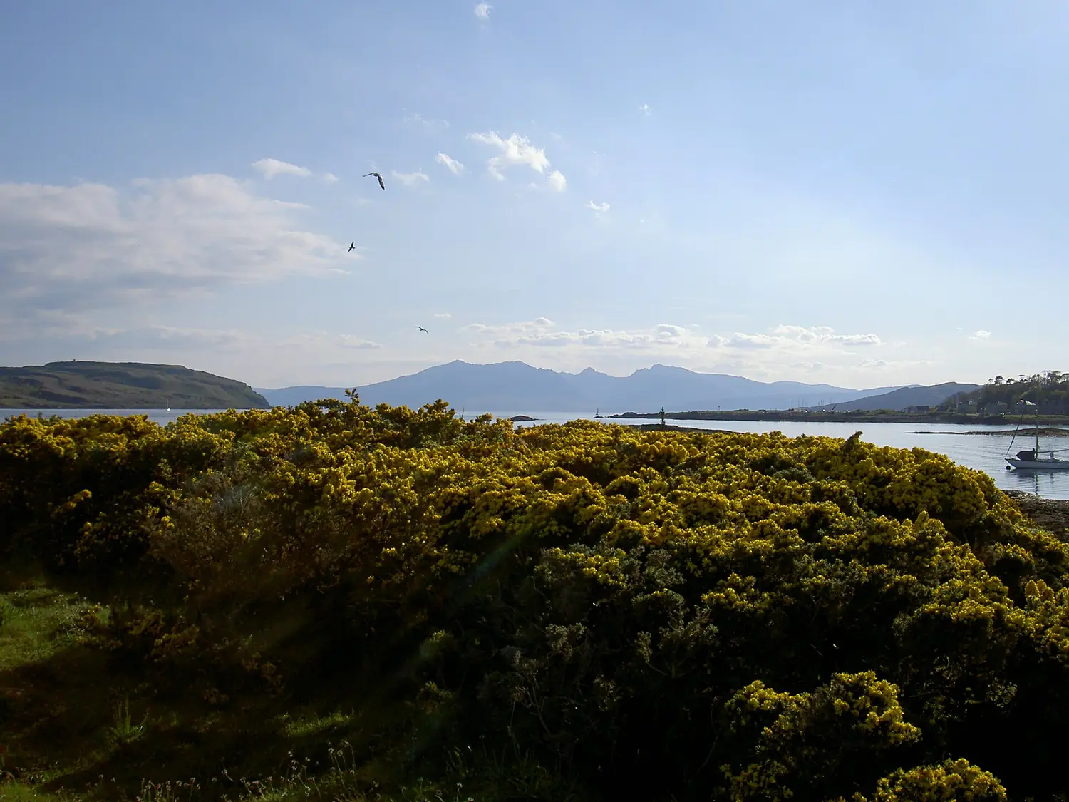 Arran from South Eilean, Millport bay (149246826)