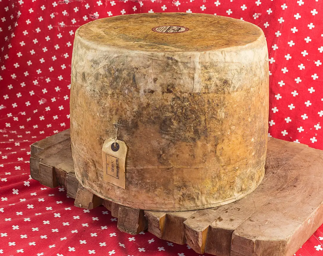 2015-01-25 Tobermory, Isle of Mull Cheese Sgriob-ruadh Farm - hu - 7900