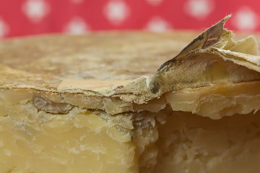 20150125 Tobermory, Isle of Mull Cheese - Der Schweizer - WikiLovesCheese Vienna 8922