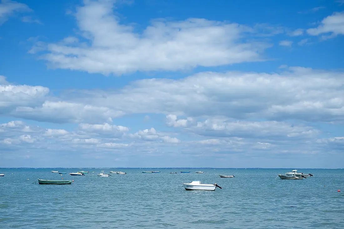 Boats in Noirmoutier