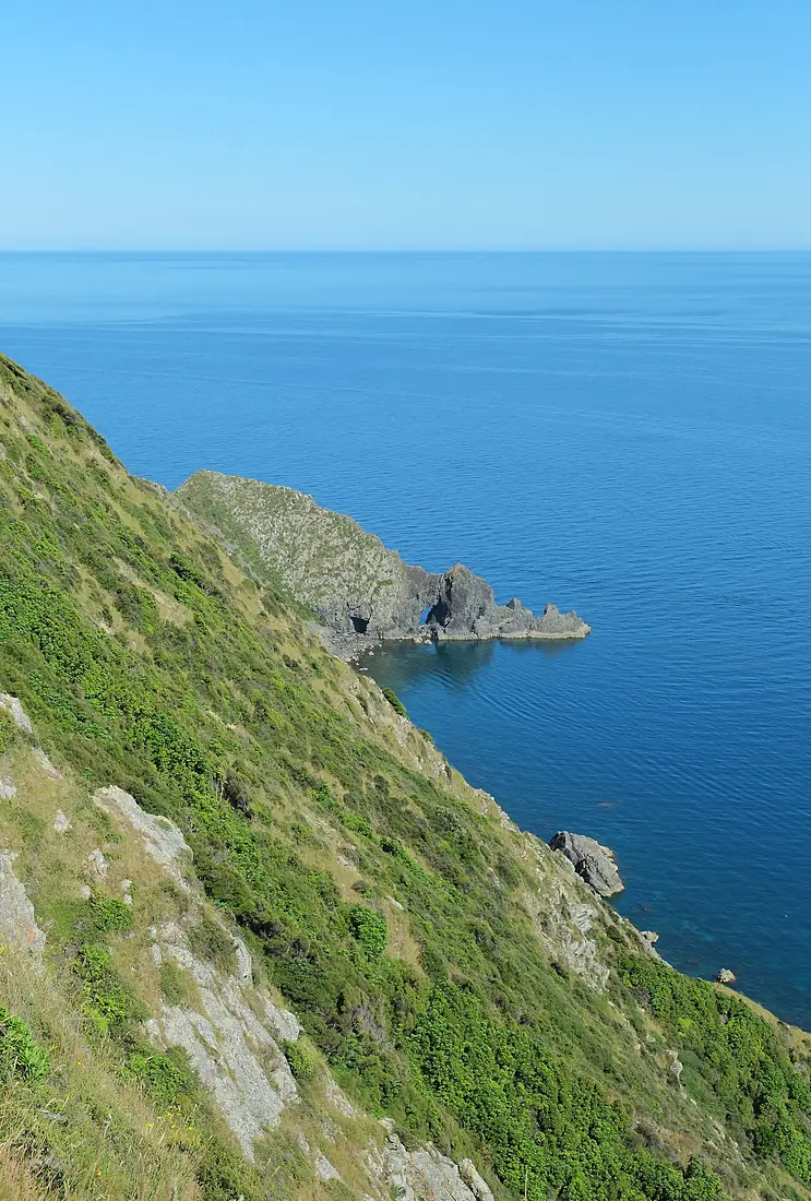 North coast of Kapiti Island