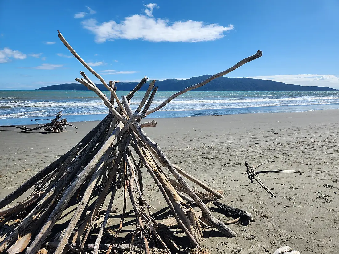 Driftwood fort, Kapiti Island